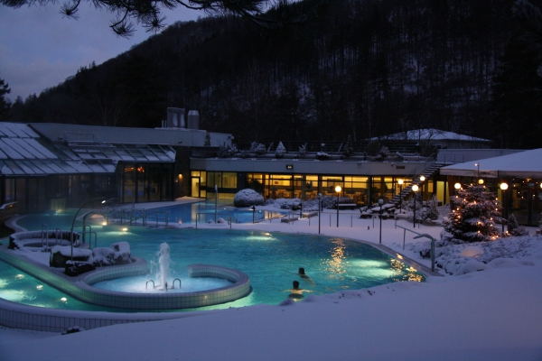 Solehotel Tannenhof (Bad Harzburg)